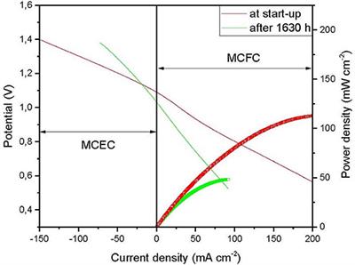 Investigation of the Techno-Economical Feasibility of the Power-to-Methane Process Based on Molten Carbonate Electrolyzer